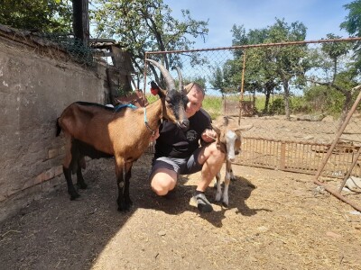 Gospodarstvo Drage Čape