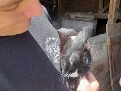 Gospodarstvo Drage Čape