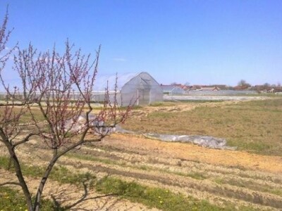 OPG Goran Blažeković