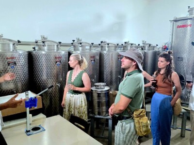 IZNENAĐENJE U POSTIRAMA  - Mira Lepur otkrila viziju brendiranja hrvatskih maslinovih ulja