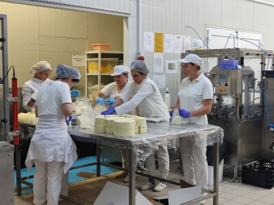 GP Kamensko, nema izvoza za stočarski i mljekarski sektor