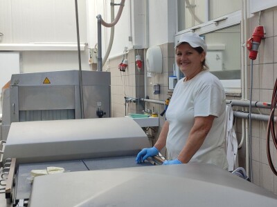 GP Kamensko, nema izvoza za stočarski i mljekarski sektor