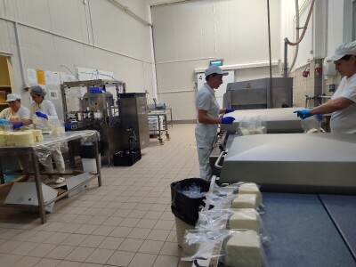 GP Kamensko, nema izvoza za stočarski i mljekarski sektor