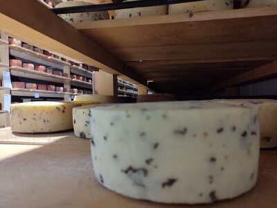 GP Kamensko, nema izvoza za stočarski i mljekarski sektor