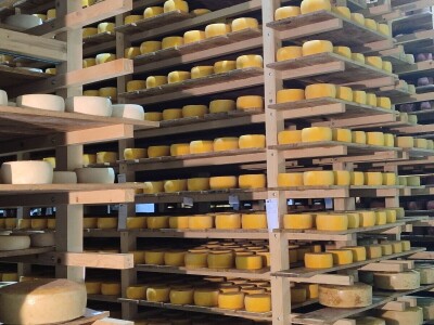 GP Kamensko, nema izvoza za stočarski i mljekarski sektor