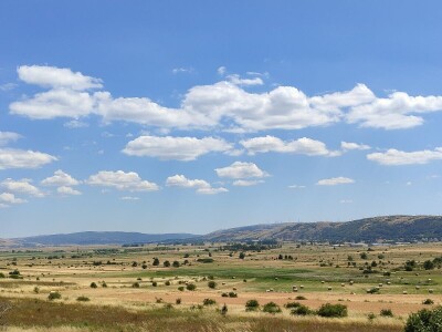 GP Kamensko, nema izvoza za stočarski i mljekarski sektor