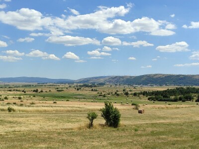 GP Kamensko, nema izvoza za stočarski i mljekarski sektor