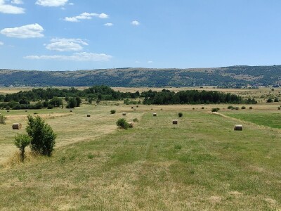 GP Kamensko, nema izvoza za stočarski i mljekarski sektor