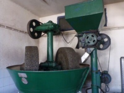 Za preradu maslina 1,36 milijuna kn Za preradu maslina 1,36 milijuna kn