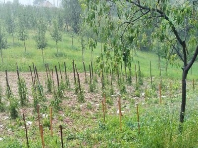 Grad naneo velike štete u valjevskim selima