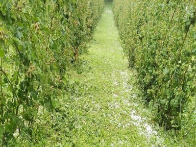 Grad naneo velike štete u valjevskim selima