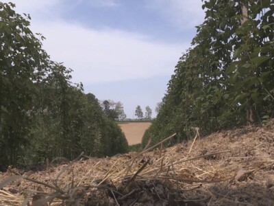 Grad naneo velike štete u valjevskim selima