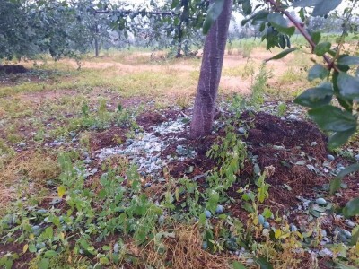 Grad naneo velike štete u valjevskim selima