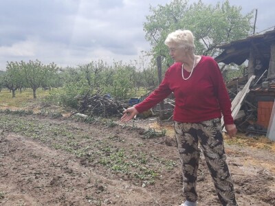 Grad pričinio veliku štetu usevima u Topoli Grad pričinio veliku štetu usevima u Topoli