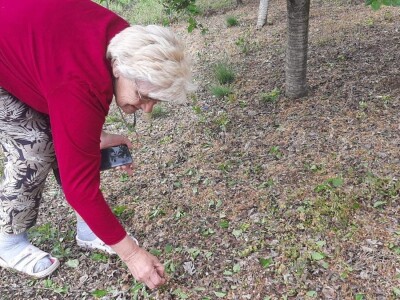 Grad pričinio veliku štetu usevima u Topoli