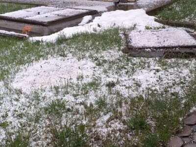 Grad pričinio veliku štetu usevima u Topoli