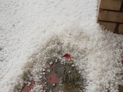 Grad pričinio veliku štetu usevima u Topoli