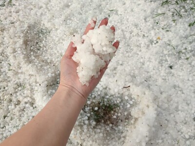 Grad pričinio veliku štetu usevima u Topoli, foto: M. Lazarević Grad pričinio veliku štetu usevima u Topoli, foto: M. Lazarević