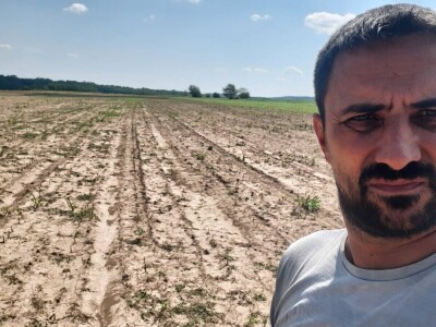 Grad u usevima, uništeni usevi u Braničevu