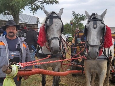 Gradištanska fijakerijada