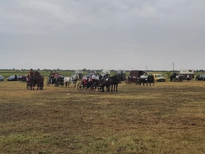 Gradištanska fijakerijada, Vojvodina (Srbija)