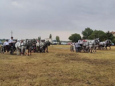 Gradištanska fijakerijada, Vojvodina (Srbija)