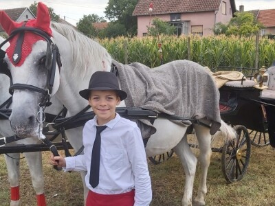 Gradištanska fijakerijada, Vojvodina (Srbija)