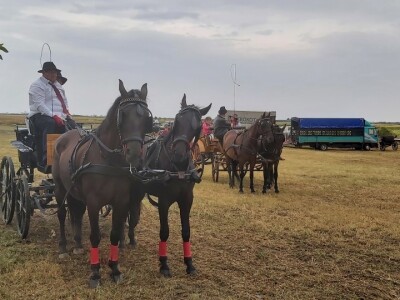 Gradištanska fijakerijada, Vojvodina (Srbija)