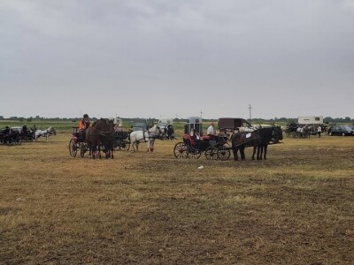 Gradištanska fijakerijada, Vojvodina (Srbija)
