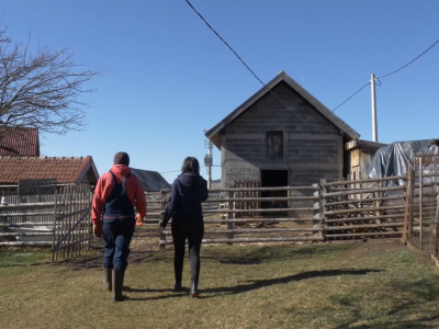 Gradska cura stigla u Margetiće i sve što želi je više stoke i zemlje
