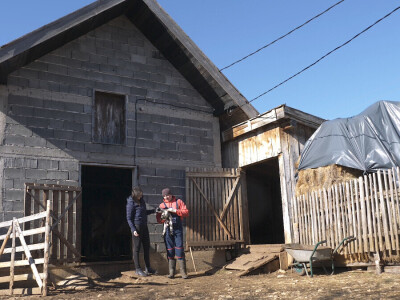 Gradska cura stigla u Margetiće i sve što želi je više stoke i zemlje