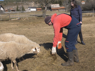 Gradska cura stigla u Margetiće i sve što želi je više stoke i zemlje