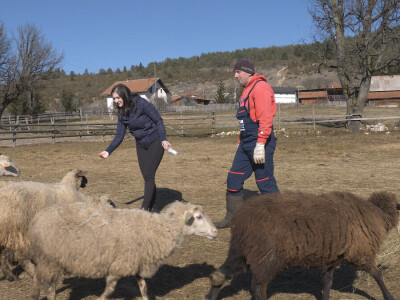 Gradska cura stigla u Margetiće i sve što želi je više stoke i zemlje