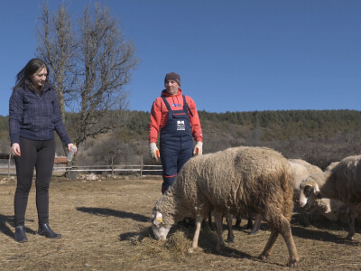 Gradska cura stigla u Margetiće i sve što želi je više stoke i zemlje
