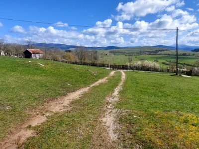 Gradsku vrevu zamijenili selom: Oživeli savku, a i petrovačku šljivovicu Gradsku vrevu zamijenili selom: Oživeli savku, a i petrovačku šljivovicu