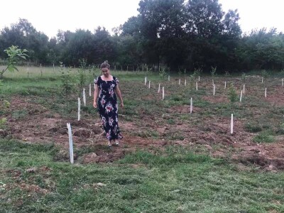 Gradsku vrevu zamijenili selom: Oživeli savku, a i petrovačku šljivovicu Gradsku vrevu zamijenili selom: Oživeli savku, a i petrovačku šljivovicu