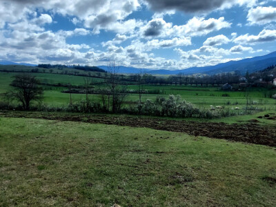 Gradsku vrevu zamijenili selom: Oživeli savku, a i petrovačku šljivovicu Gradsku vrevu zamijenili selom: Oživeli savku, a i petrovačku šljivovicu