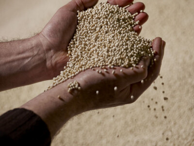 Jesenje đubrenje ratarskih kultura