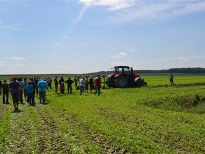 Grapak Alpego i MF prezentacija