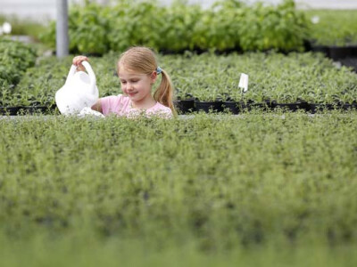 Ljubav prema biljkama uči se odmalena