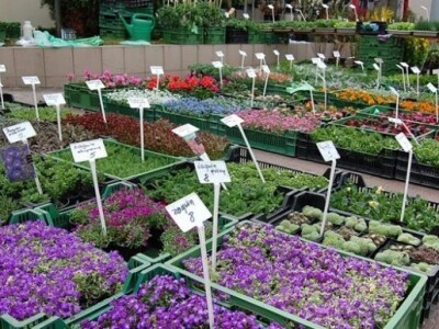 Miasto Ogród 2014. u Poljskoj Miasto Ogród 2014. u Poljskoj