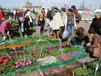 Bogata ponuda sadnica na sajmu Miasto Ogród u Poljskoj