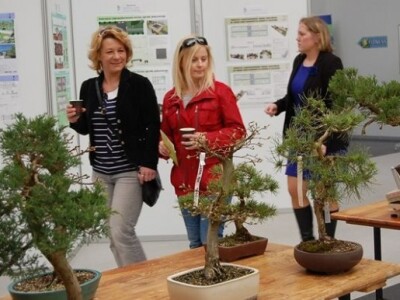 Dekorativno drveće na sajmu Miasto Ogród u Poljskoj Dekorativno drveće na sajmu Miasto Ogród u Poljskoj
