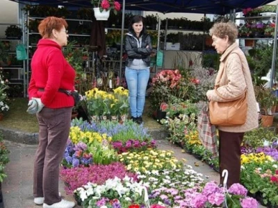 Ponuda na sajmu Miasto Ogród u Poljskoj