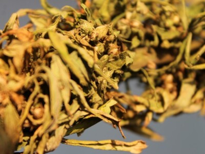 Green Life iz Rakitovice za tržište Europske unije