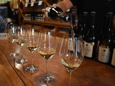 Green visit Podunavlje