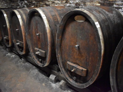 Green visit Podunavlje