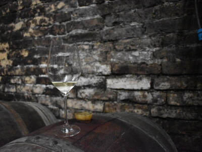 Green visit Podunavlje