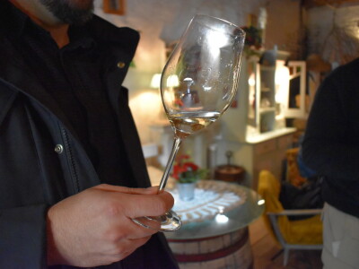 Green visit Podunavlje