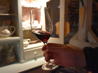 Green visit Podunavlje